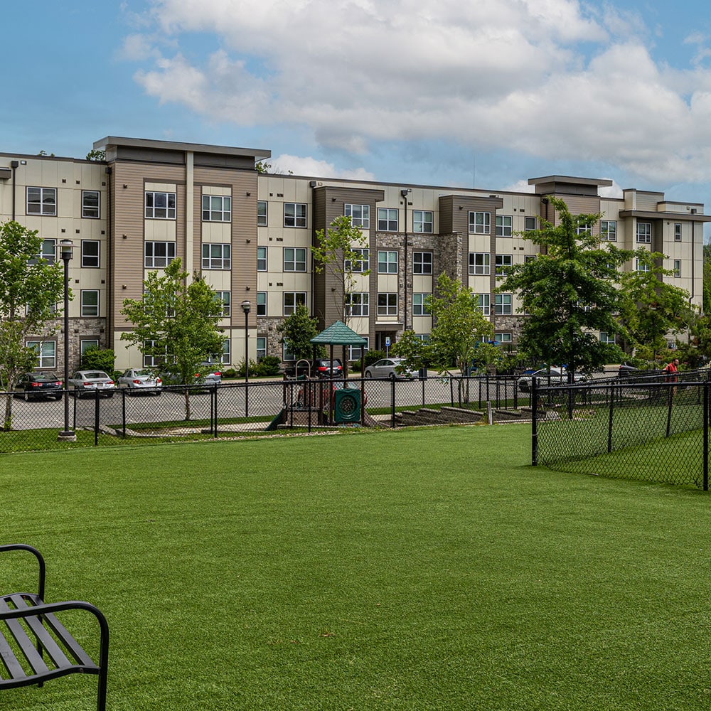 A big outdoor park and playground with green grass and trees