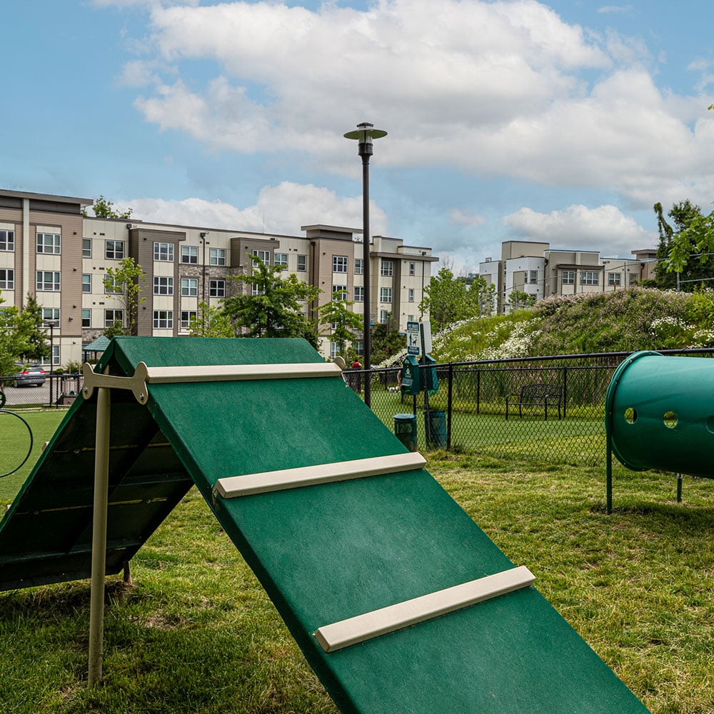An outdoor dog park with clean green grass and agility course